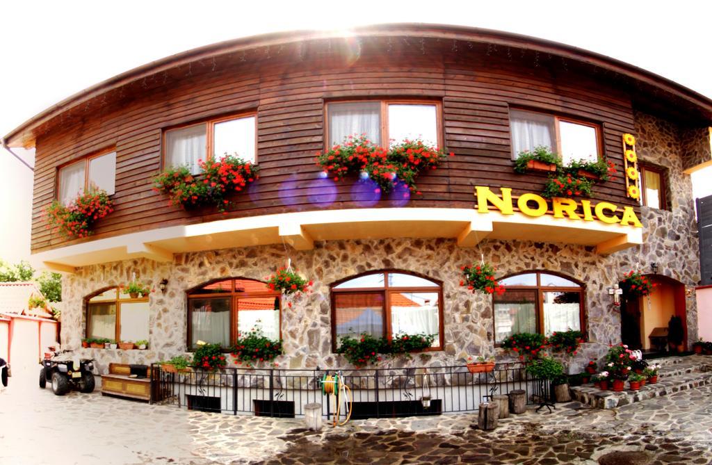 Gura Rîului Pensiunea Norica المظهر الخارجي الصورة